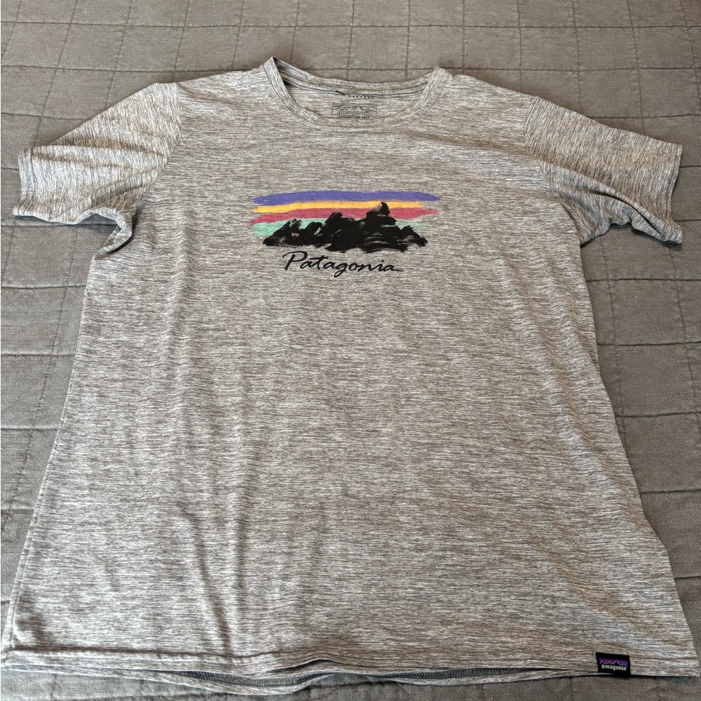 Patagonia Heather Gray Graphic Tee